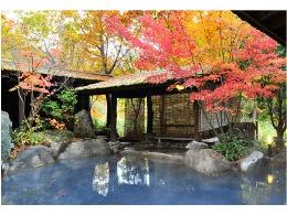 �G�[�X�i�s�a�F���̓��@�a�炭